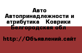 Авто Автопринадлежности и атрибутика - Коврики. Белгородская обл.